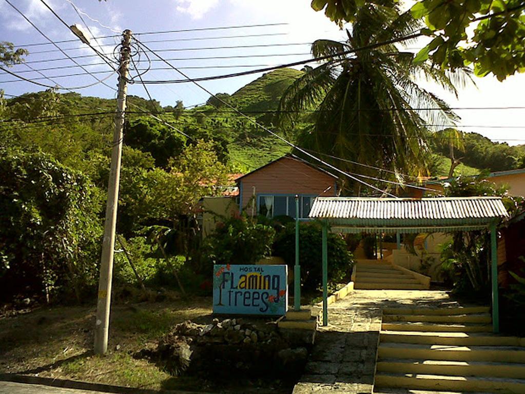 Hotel Flemming Tree Providencia Island Екстериор снимка