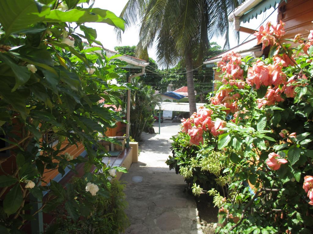 Hotel Flemming Tree Providencia Island Екстериор снимка
