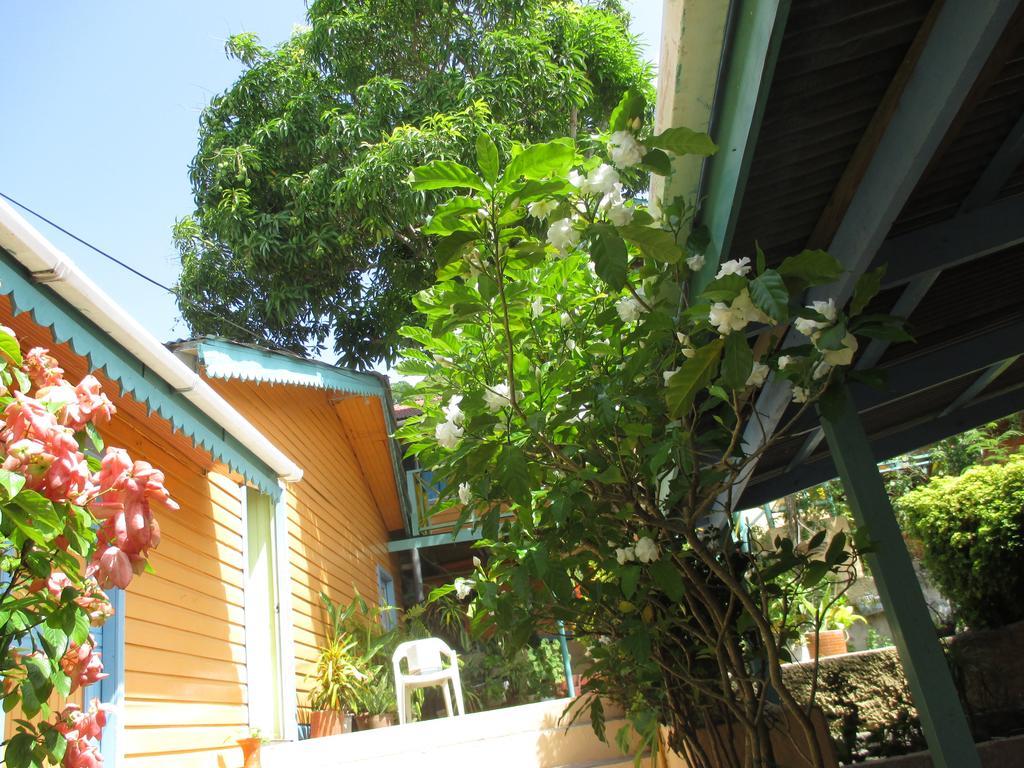 Hotel Flemming Tree Providencia Island Екстериор снимка
