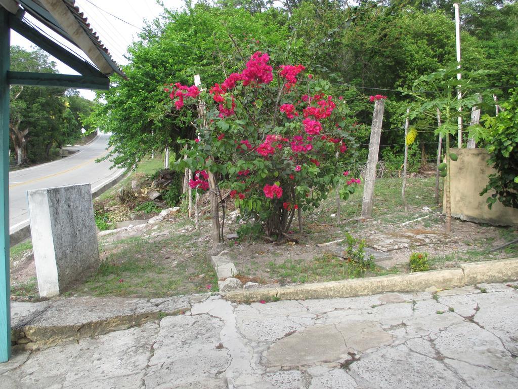 Hotel Flemming Tree Providencia Island Екстериор снимка