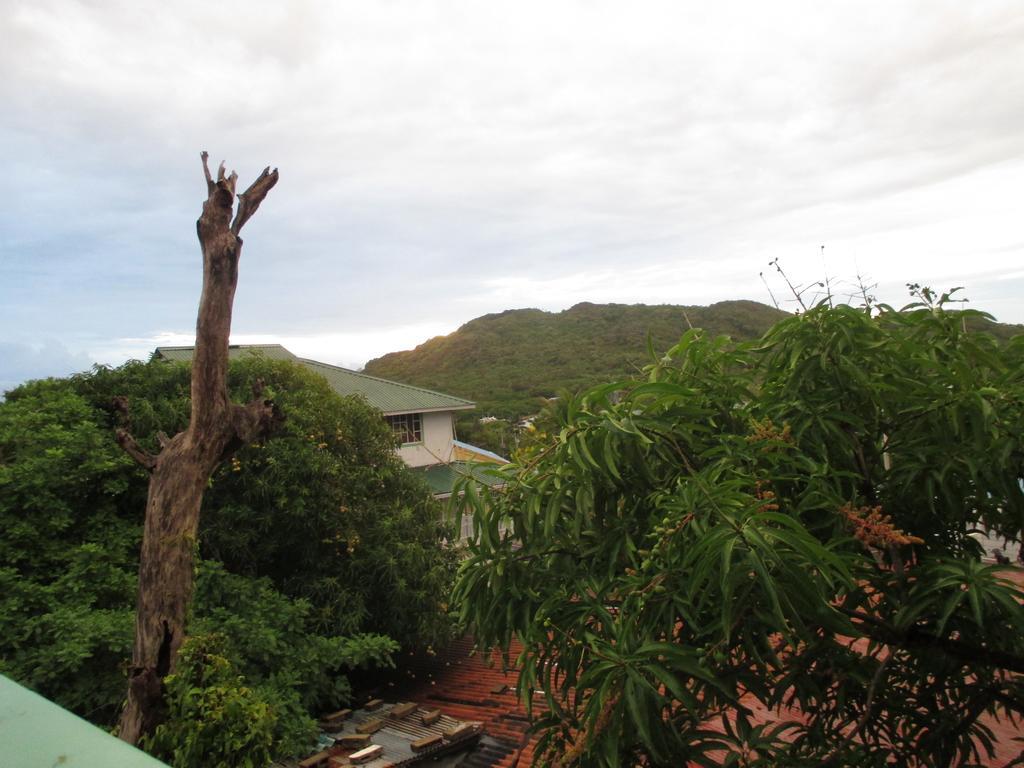 Hotel Flemming Tree Providencia Island Екстериор снимка