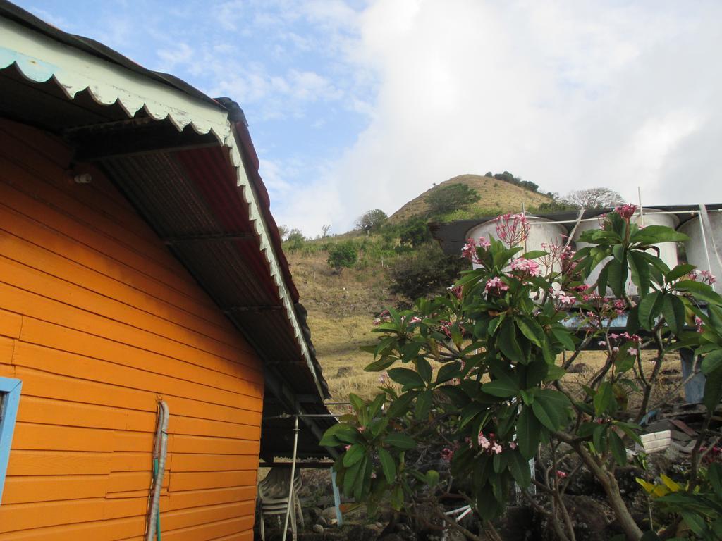 Hotel Flemming Tree Providencia Island Екстериор снимка