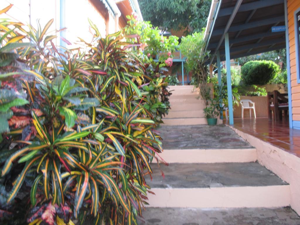 Hotel Flemming Tree Providencia Island Екстериор снимка