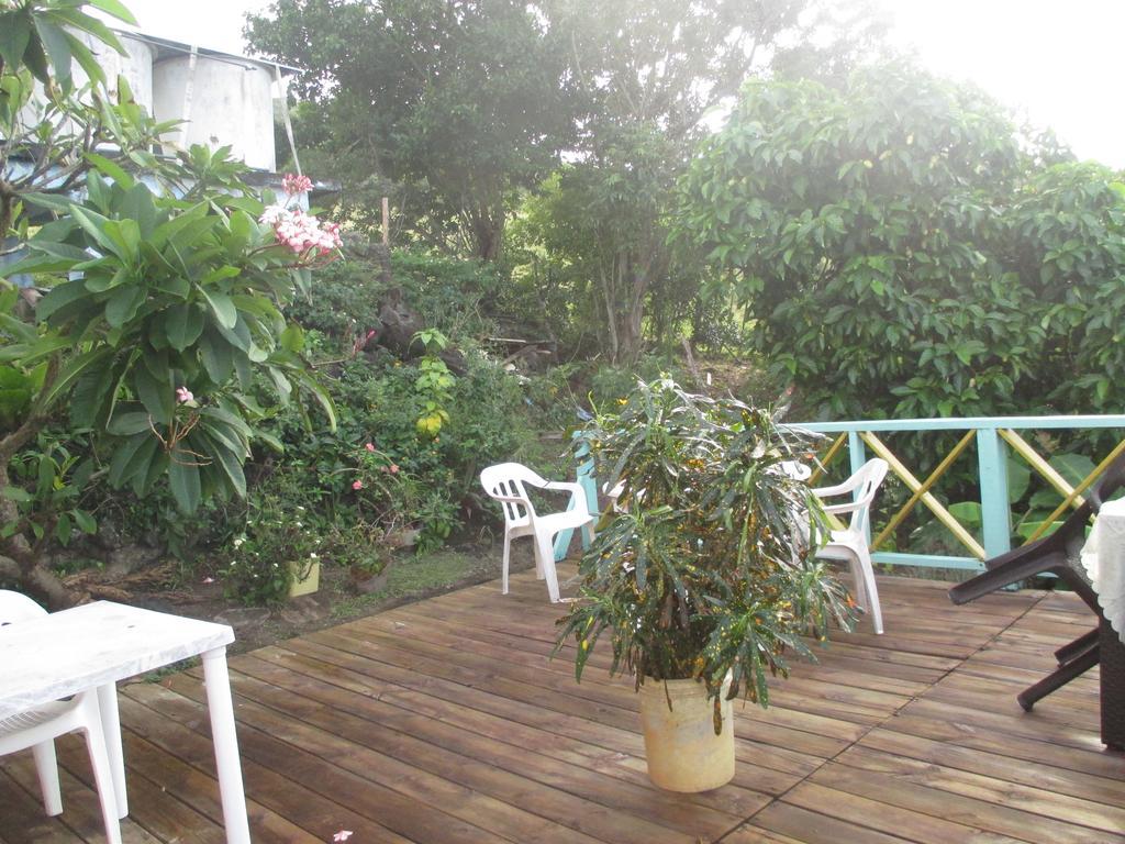 Hotel Flemming Tree Providencia Island Екстериор снимка