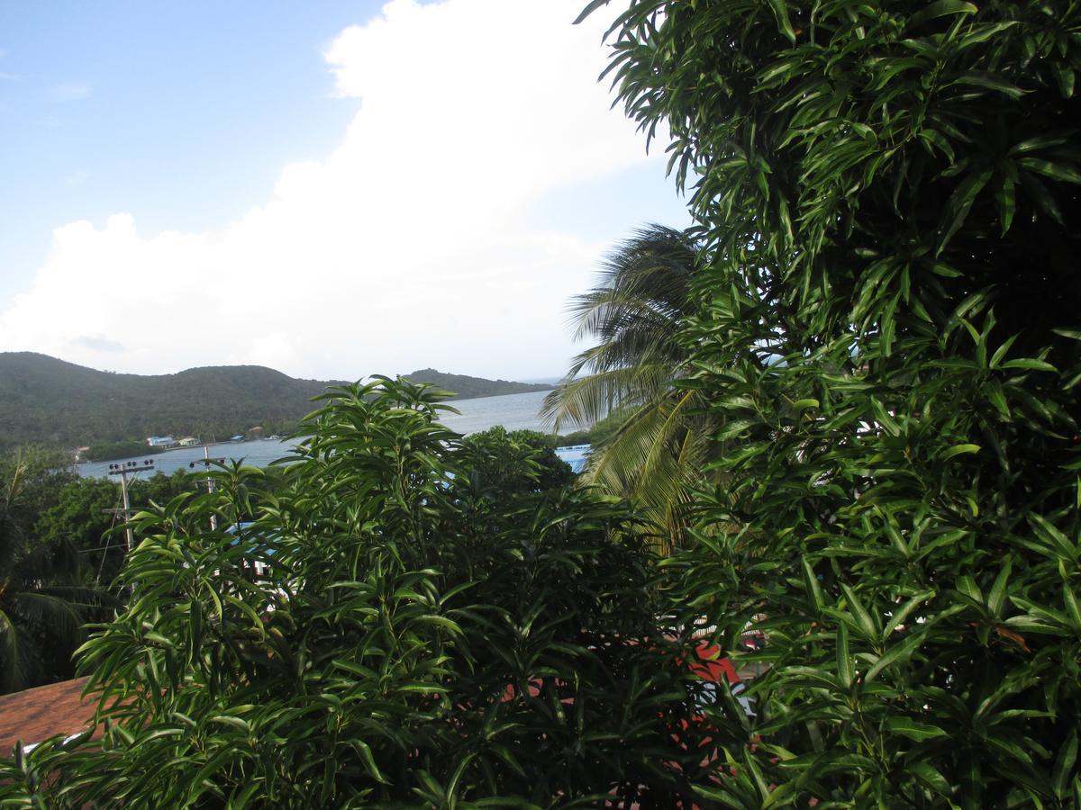 Hotel Flemming Tree Providencia Island Екстериор снимка